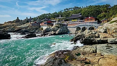 [주말 국내 여행 추천] 2019 센텀맥주축제 이번 주말에 종료!...부산 가볼 만한 곳은?