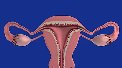 [오늘의건강] 자궁경부암, 최근에는 남자들도 검사 받아야 하는 이유는?