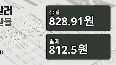 14일 호주 달러 살때 828.91원, 팔때 812.5원 ▲1.01%상승
