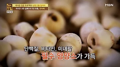 [위·당뇨에 좋은 음식] 연자육 효능, 먹는 법만 알면 중성지방 녹이는데 '탁월'…연자육밥, 연자육차 요리법 정리