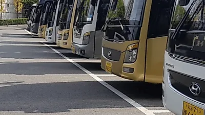 각종 후불식 상조서비스 선사... '은하수에스지', 특색있는 상조회사 자리매김
