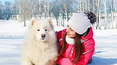 불안증이 있다면? 마음에 위안을 주는 반려견 BEST6