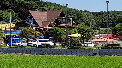 백년가게 선정된 안면도 맛집 딴뚝통나무집식당, 생생정보 출연