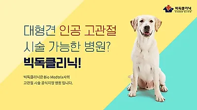대형견 진료 전문병원 '빅독클리닉', 최소 침습 수술센터 운영