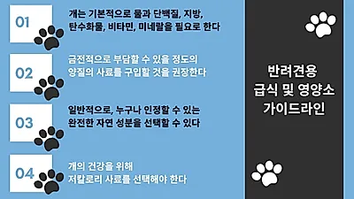 “나이·활동량 따라 다르다” 반려견·반려묘 위한 올바른 사료 선택법