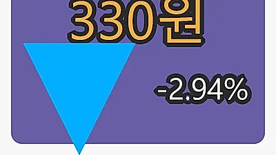 6일 에이엔피마감가 330원 -2.94% 등락..