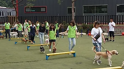 한국반려동물아카데미, 반려동물관리사 자격증 수강생 많이 찾아