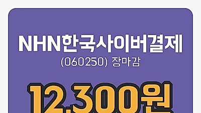 주식마감NHN한국사이버결제 11일 12,300원 장 마쳐...