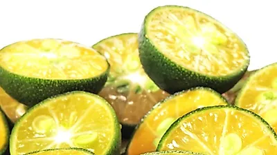톡톡 튀는 맛의 깔라만시 소주·편의점 꽐라만시