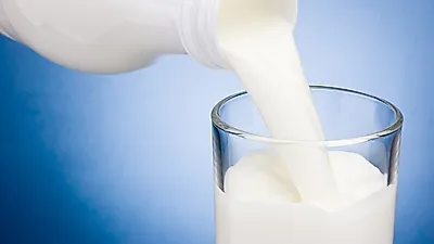 사람들에게 잘 알려지지 않은 멸균우유란? 일반우유와 멸균우유의 차이