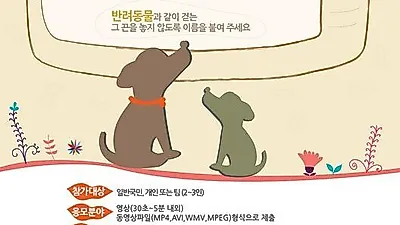동물보호정책, 영혼없는 홍보 전략 문제...