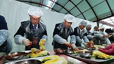 싱싱한 고랭지 배추로 김장 담가요, 평창고랭지 김장축제 3일부터 12일까지