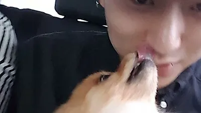 지코 반려견 쪼꼬, 격한 뽀뽀 공세