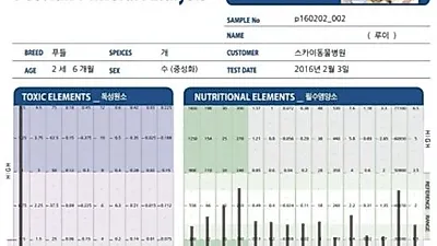 [단독]상어연골 먹고 수은중독 "강아지 수제간식 주의보"