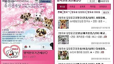반려동물산업과 반려동물 문화를 연결하는 국내 1세대 반려동물 SNS '콘펫' 오픈