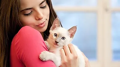 초보 보호자가 알아야 할 고양이 선택 및 돌보는 요령