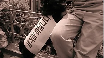 일부 종교시설의 바자회에 개고기 논란.
