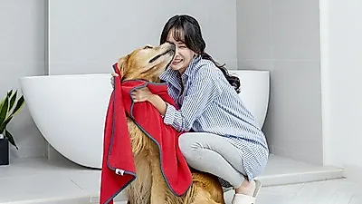 프리미엄 반려동물 브랜드 체리독스, ‘체리타월’ 인기