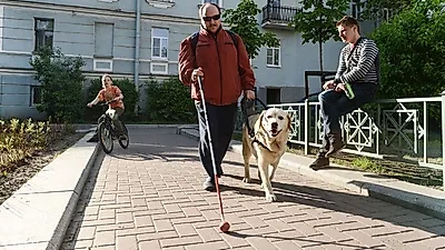 맹인 안내견, 고교생 손으로 훈련받는다