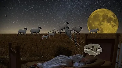 밤에 잠이 안 올 때, 불면증 해결방법은?