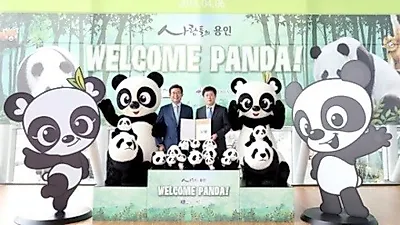판다 커플, '용인시 관광 홍보대사' 된다