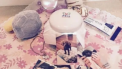 소녀시대 효연, 반려견과 가슴 아픈 이별 "고마웠어 비비안"