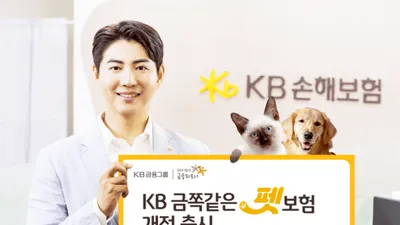 KB손해보험, 의료비 보장 확대한 'KB 금쪽같은 펫보험' 개정 출시