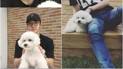 엑소 세훈 "반려견 비비는 수컷…여자들만 편애"