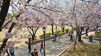 서울어린이대공원 봄꽃축제 9일 개막