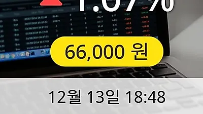 네패스신소재 13일 66,000원 장종료