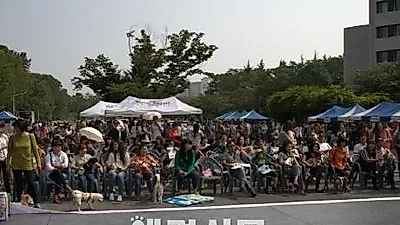 경북대 '2014년 반려동물한마당' 행사 개최