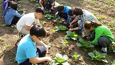 남양주시, 도시농업 마스터가드너 수료 및 학교텃밭 활동 진행