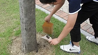 "개똥없는 공원, 시민과 함께 만들어요"