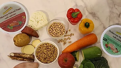 수의사가 만든 강아지사료, 닥터맘마 칼로리조절이 가능한 신제품으로 와디즈 펀딩