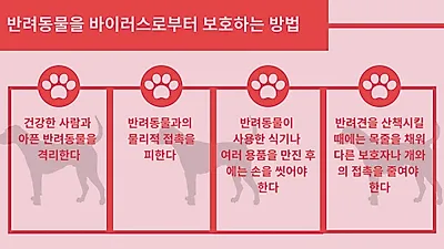 코로나 시대, 반려동물과 허그·입맞춤해도 될까?