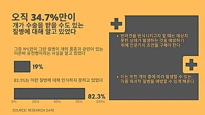 [연구] 반려견 건강 지식 부족한 견주 많아