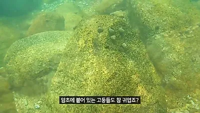 390톤급 해양 연구선 연구 1호, 일반인 출입 통제된 바다 위 연구 기지 내부 공개
