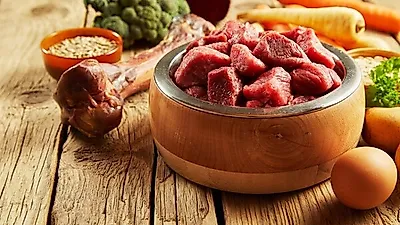 인기 얻고 있는 생식 사료, 정말 반려동물을 위한 것일까?