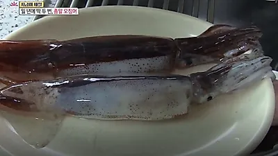 일년에 딱 두번만 만날 수 있는 '총알오징어', 찌는법은?…총알오징어스파게티 만드는 법까지