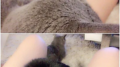 이수민, 애묘와 즐거운 한 때