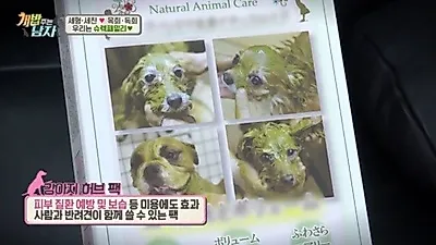 '개 밥 주는 남자', 피부 질환 예방 및 보습에 좋은 강아지 허브팩