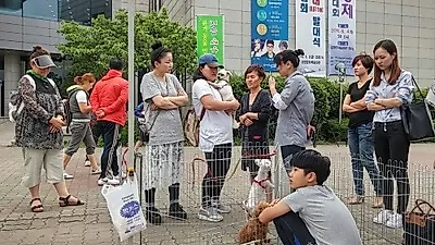 포항시, '반려동물과 행복이어가기' 성료