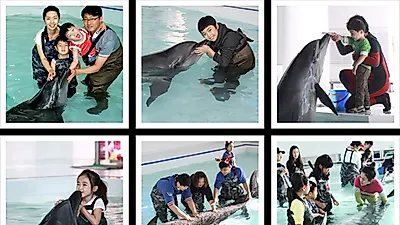 이색 여름 휴가 즐기고 싶다면 '제주마린파크'로! 돌고래와 교감하는 잊을 수 없는 시간 선사해