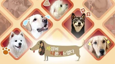 '세상에 나쁜 개는 없다' 반려견 정남이, 주인만 공격하는 이유는