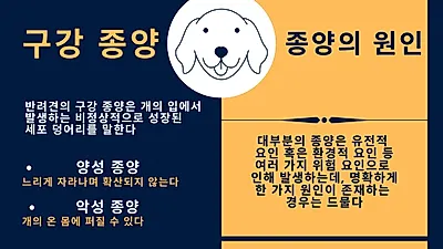 반려견 입안에 생기는 구강 종양, 양치질하다 조기 발견할 수 있어