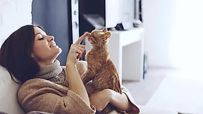 고양이 앞에서 재채기할 때 주의할 점