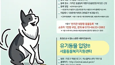 서울시, 가을맞이 반려동물 '광견병 예방접종' 지원 나서