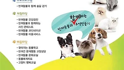 강동구, 교감을 주제로 반려동물 사랑축제 개최
