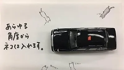 일본서 길고양이 위한 따뜻한 캠페인 진행