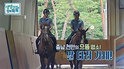 천안 승마장으로 말 타러 가세! '정철희 국제승마센터'
